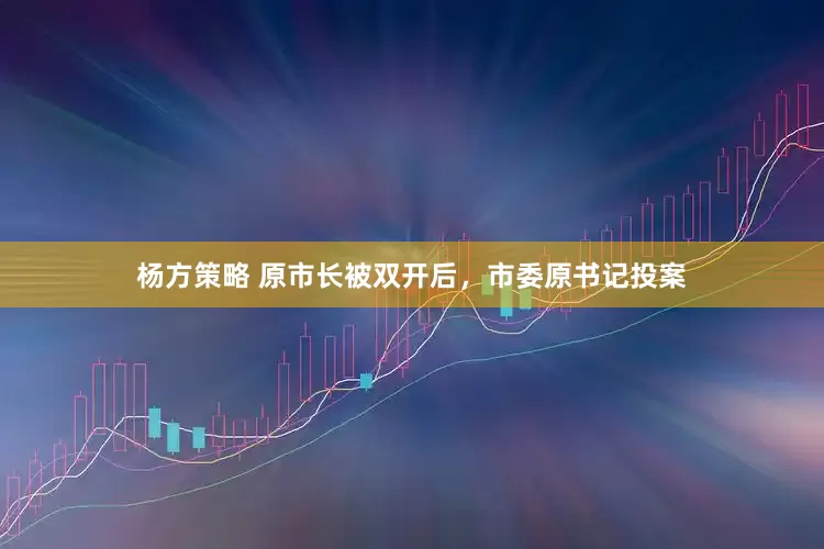 杨方策略 原市长被双开后，市委原书记投案