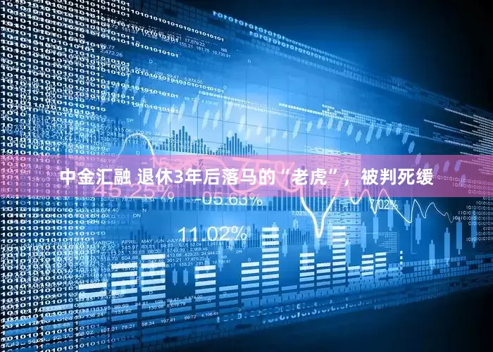 中金汇融 退休3年后落马的“老虎”，被判死缓