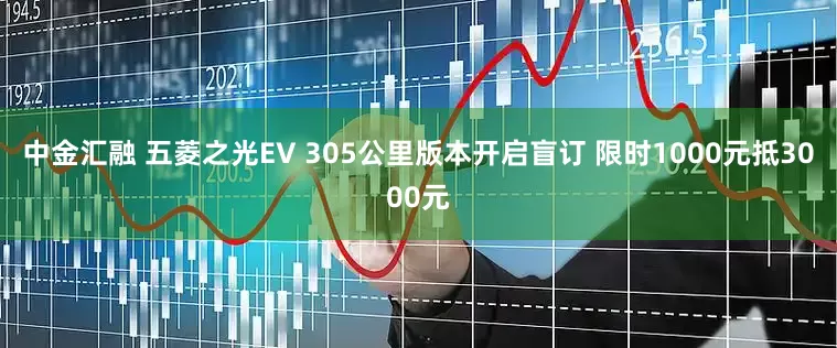 中金汇融 五菱之光EV 305公里版本开启盲订 限时1000元抵3000元