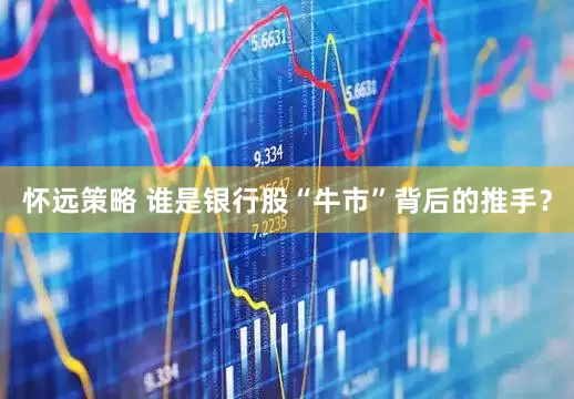 怀远策略 谁是银行股“牛市”背后的推手？