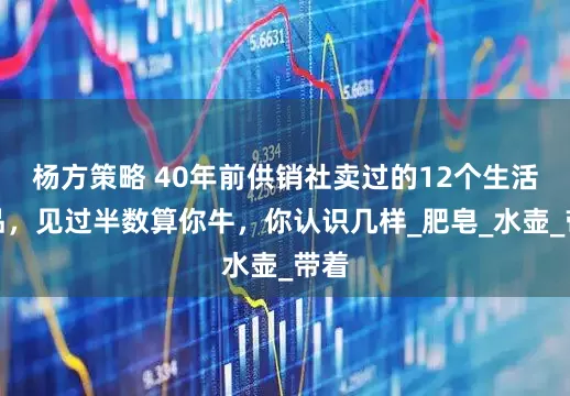 杨方策略 40年前供销社卖过的12个生活用品，见过半数算你牛，你认识几样_肥皂_水壶_带着
