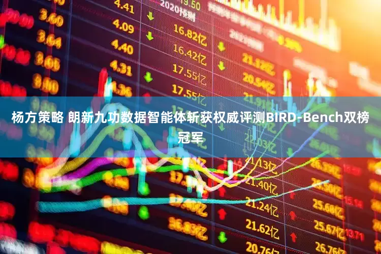 杨方策略 朗新九功数据智能体斩获权威评测BIRD-Bench双榜冠军