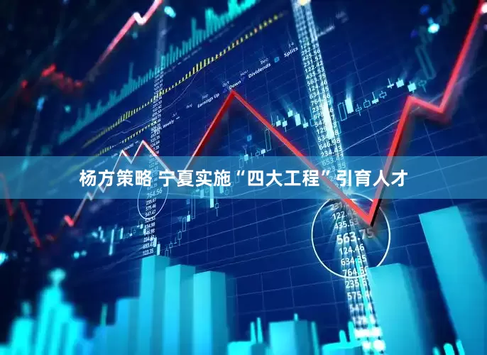杨方策略 宁夏实施“四大工程”引育人才