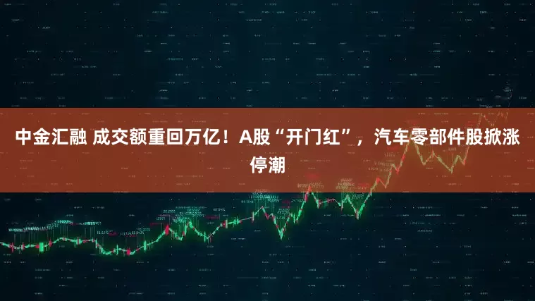 中金汇融 成交额重回万亿！A股“开门红”，汽车零部件股掀涨停潮