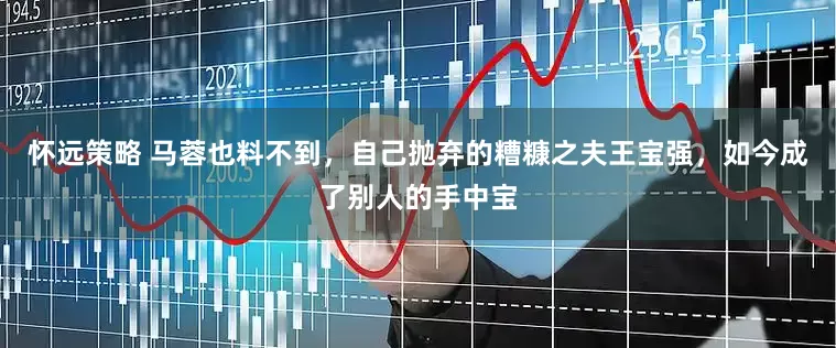 怀远策略 马蓉也料不到，自己抛弃的糟糠之夫王宝强，如今成了别人的手中宝
