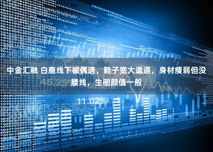 中金汇融 白鹿线下被偶遇，鞋子宽大邋遢，身材瘦弱但没腰线，生图颜值一般