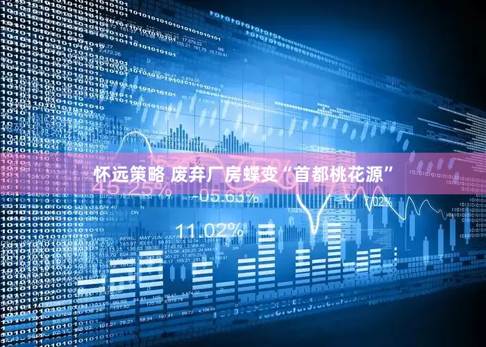 怀远策略 废弃厂房蝶变“首都桃花源”
